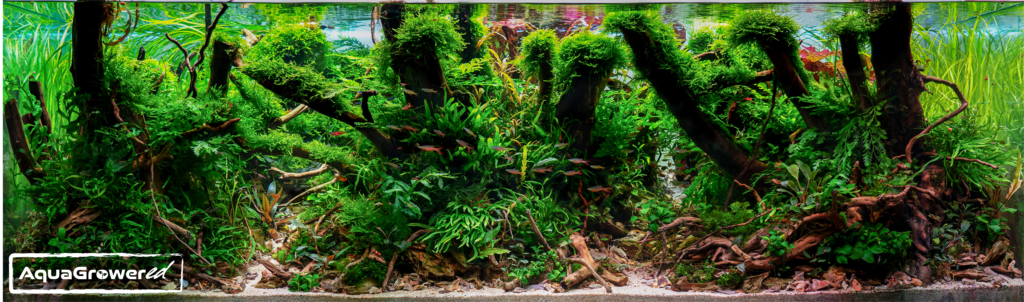 A.Klouda-1024x302