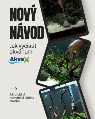 💧 Naučte se vyčistit akvárium krok za krokem.⁠ Jasný, praktický návod pro bezpečnou údržbu, aby ryby zůstaly v pohodě.⁠...
